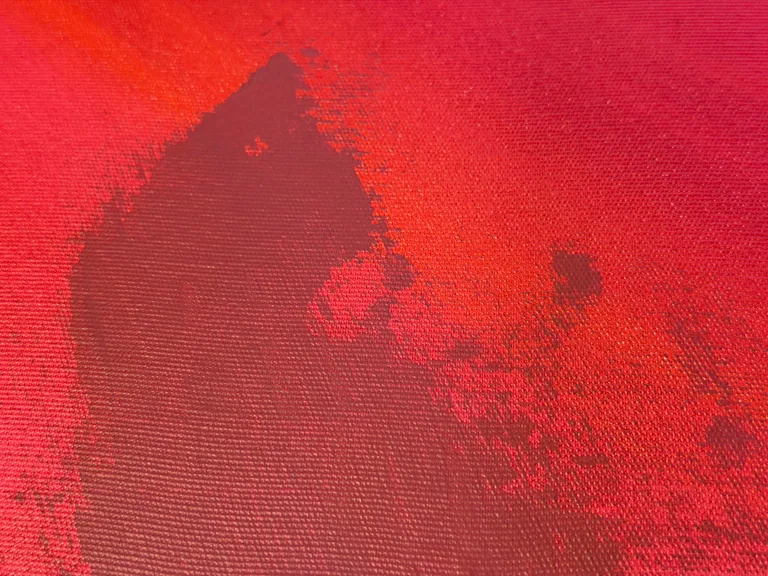 Surface detail — Fire of Devotion by Alyne Perfeito