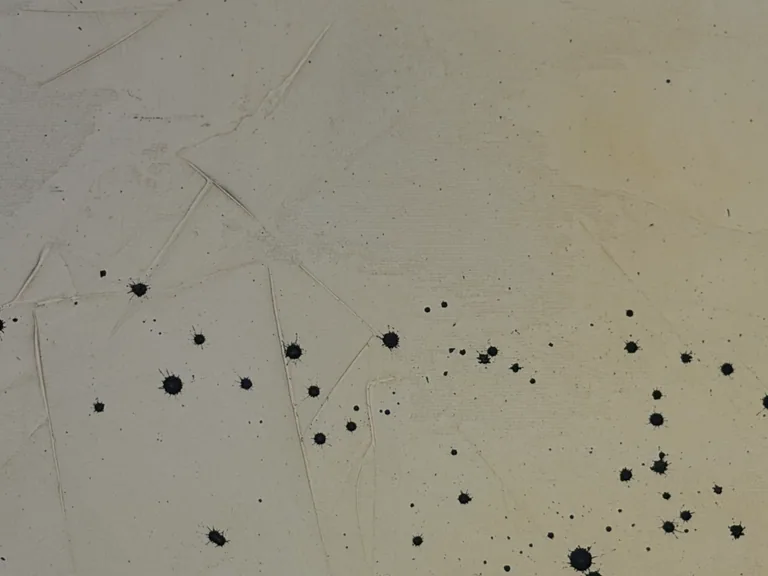 Surface detail — Silent Interval by Alyne Perfeito